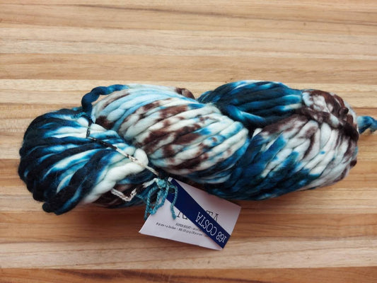 Malabrigo Rasta Pintada COSTA 100% Merino Wool | Hand Dyed | Single ply | Slightly felted | 150 gram skeins